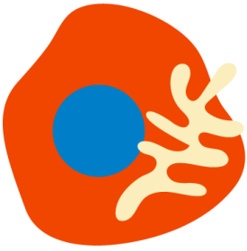 Centrum paliativní péče